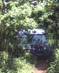 The Banding Tent at Johnson Bayou