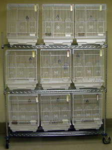 View of Animal Care Facility at USM: USM Migratory Bird Group